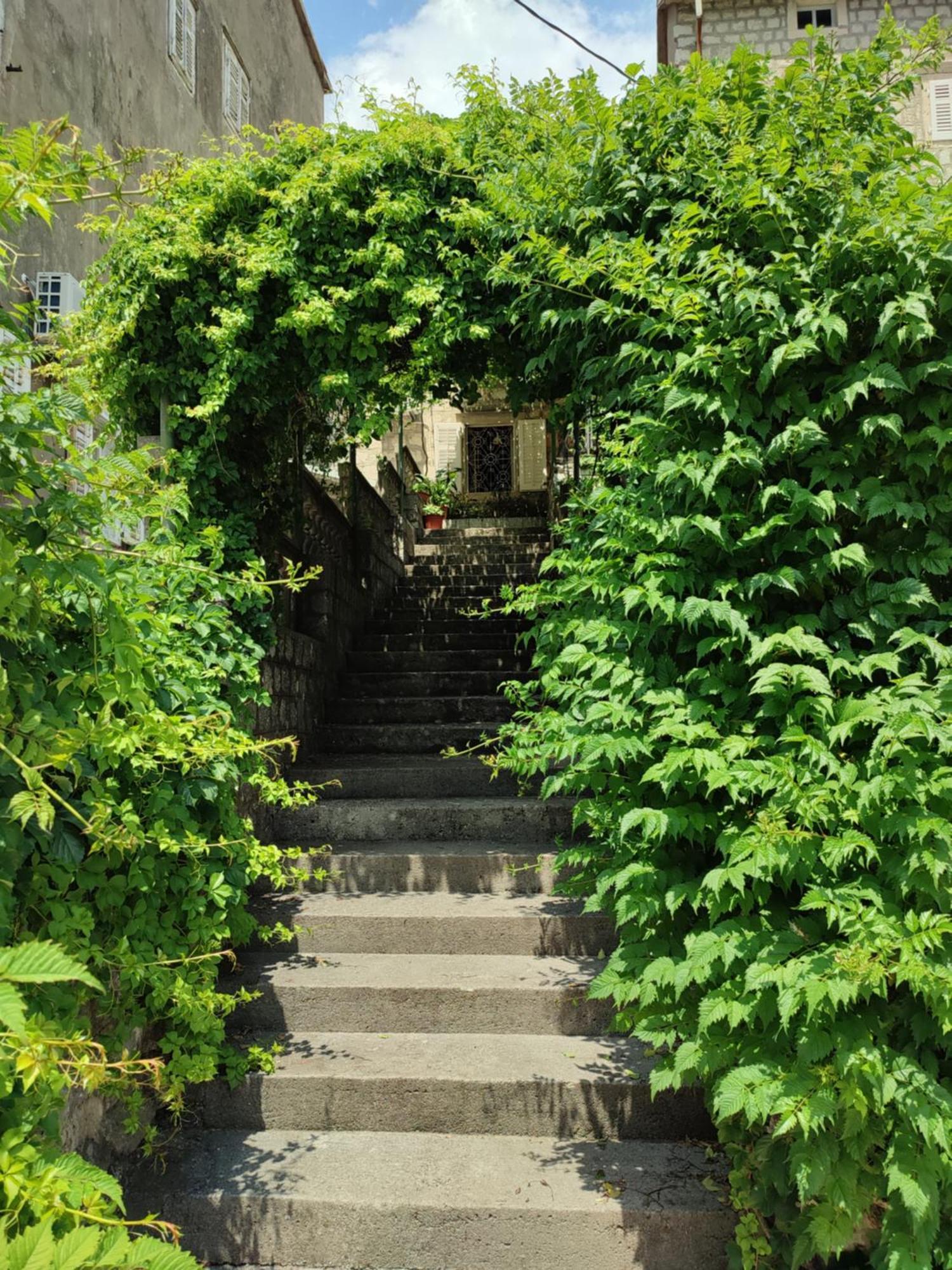 Guesthouse Zmukic Perast Exterior photo